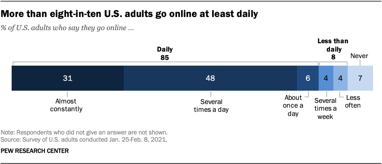 US adults online usage